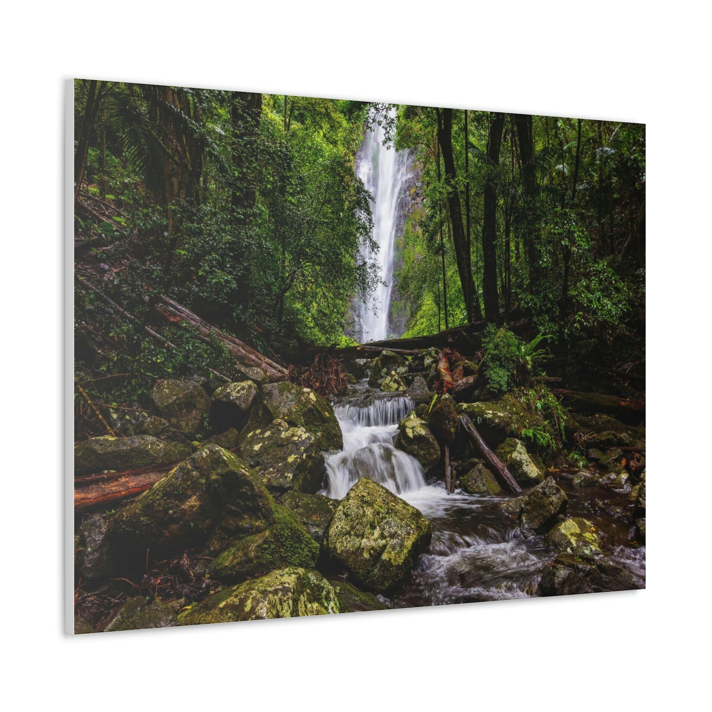 Larapinta Falls, Lamington National Park (Queensland)