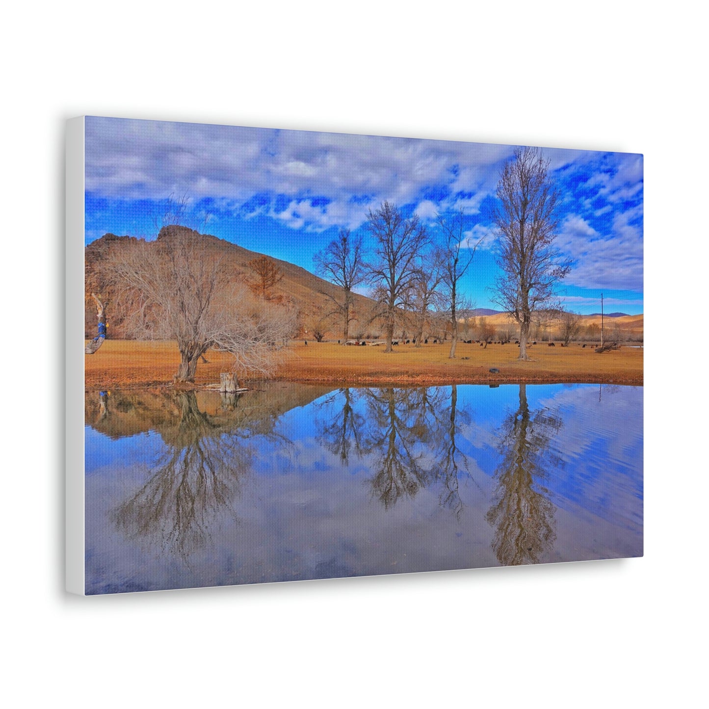 Perfect Reflection, Tsetserleg (Mongolia)