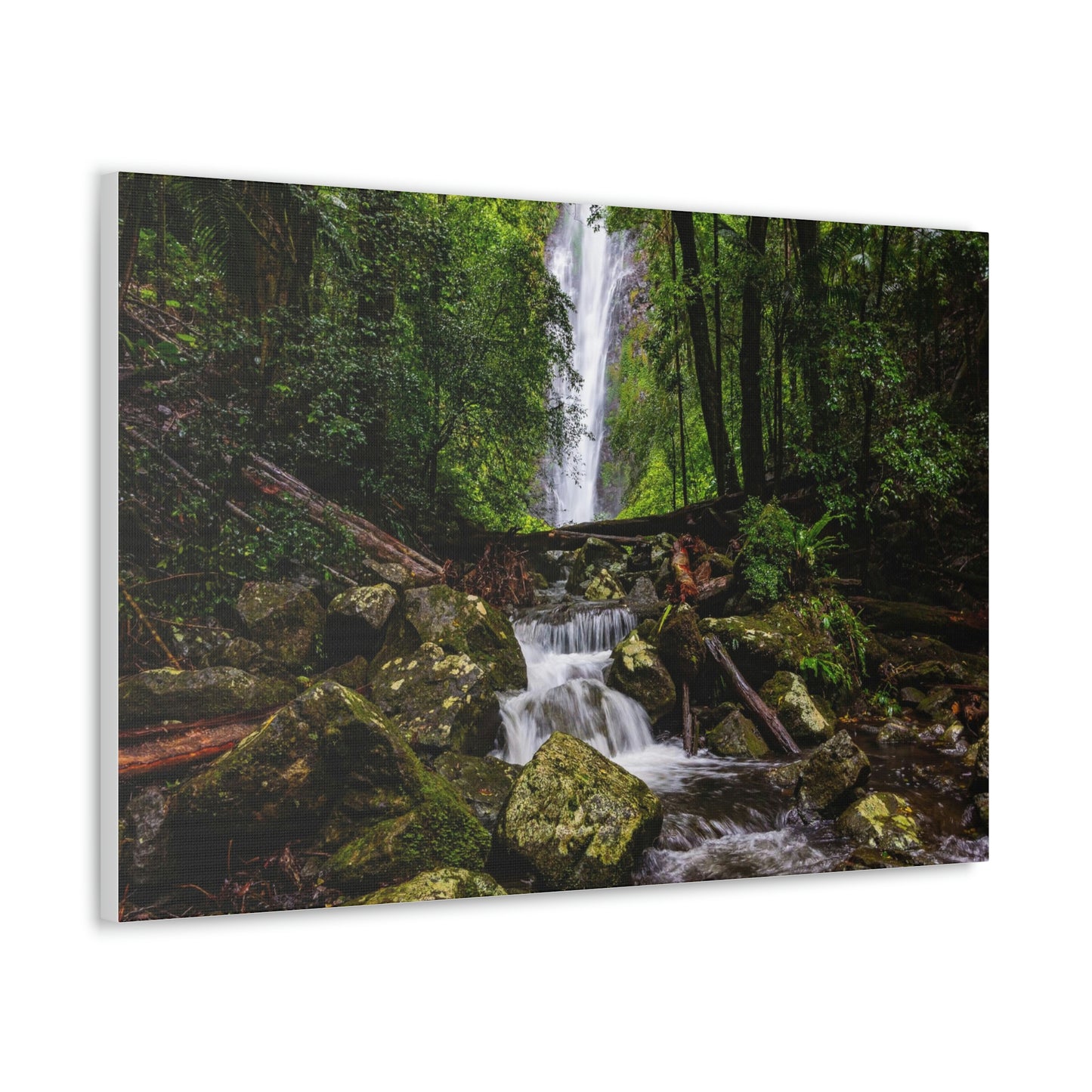 Larapinta Falls, Lamington National Park (Queensland)