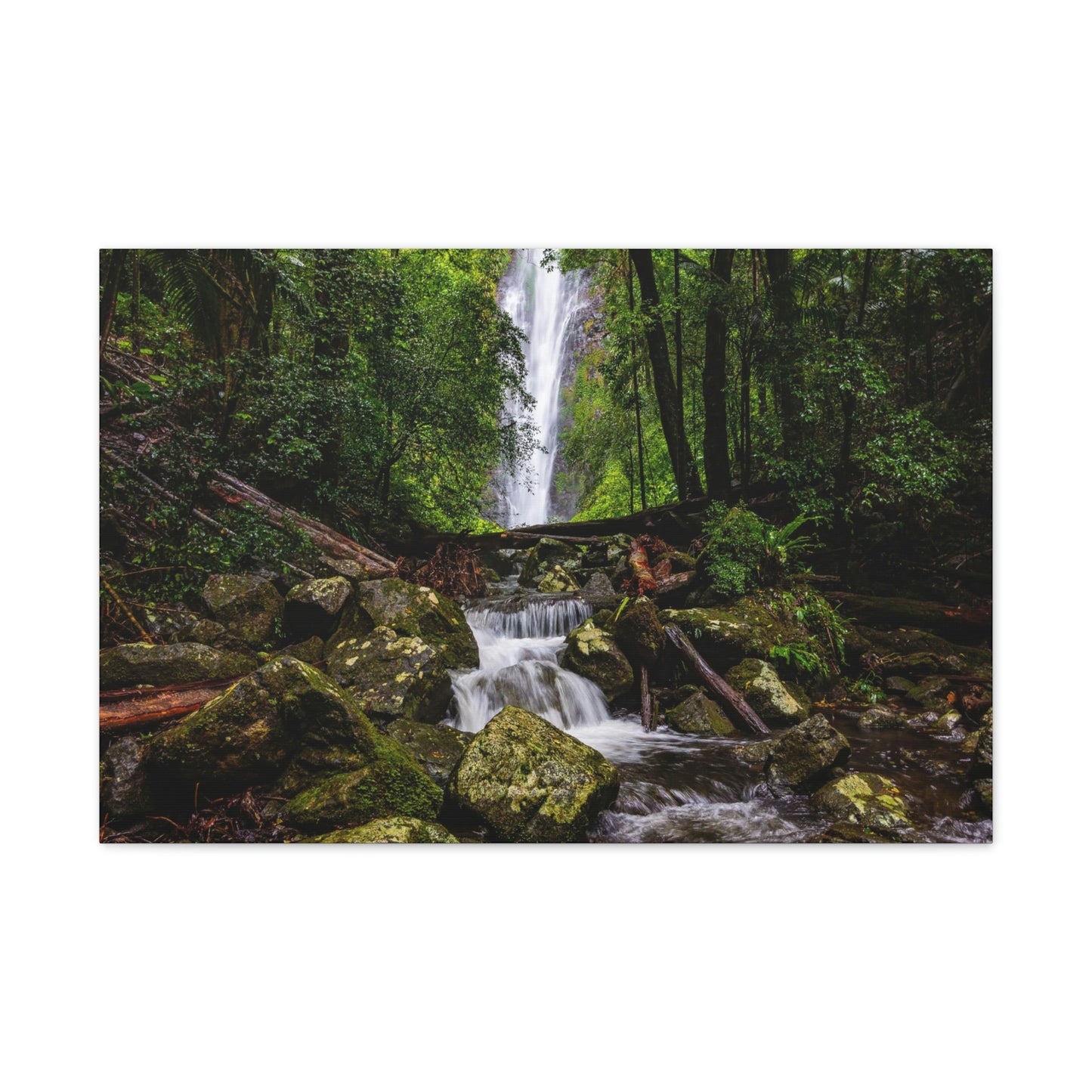 Larapinta Falls, Lamington National Park (Queensland)