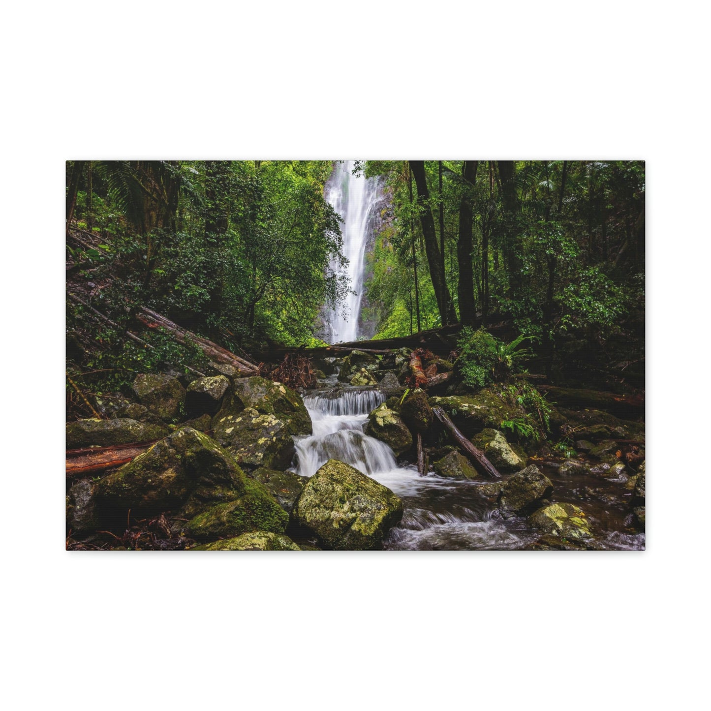 Larapinta Falls, Lamington National Park (Queensland)