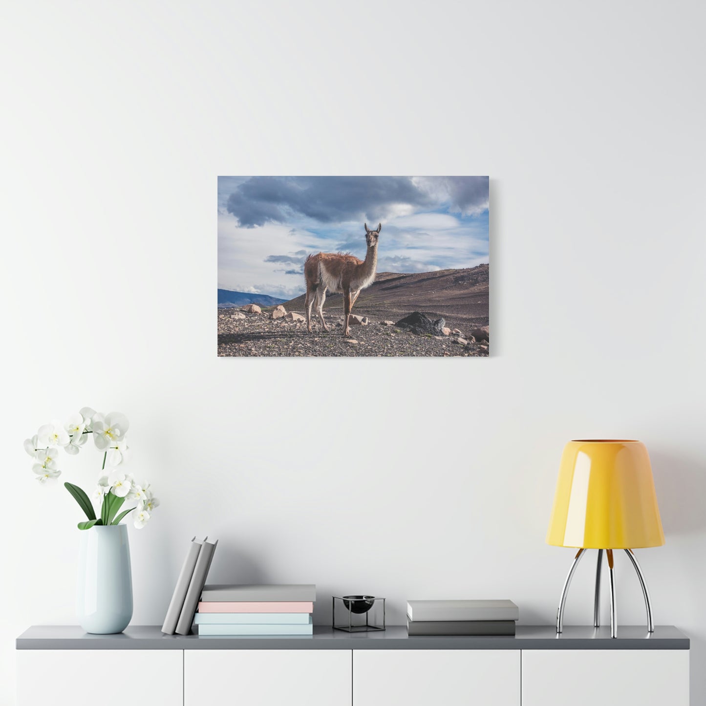 Guanaco 2, Torres Del Paine National Park (Chile)