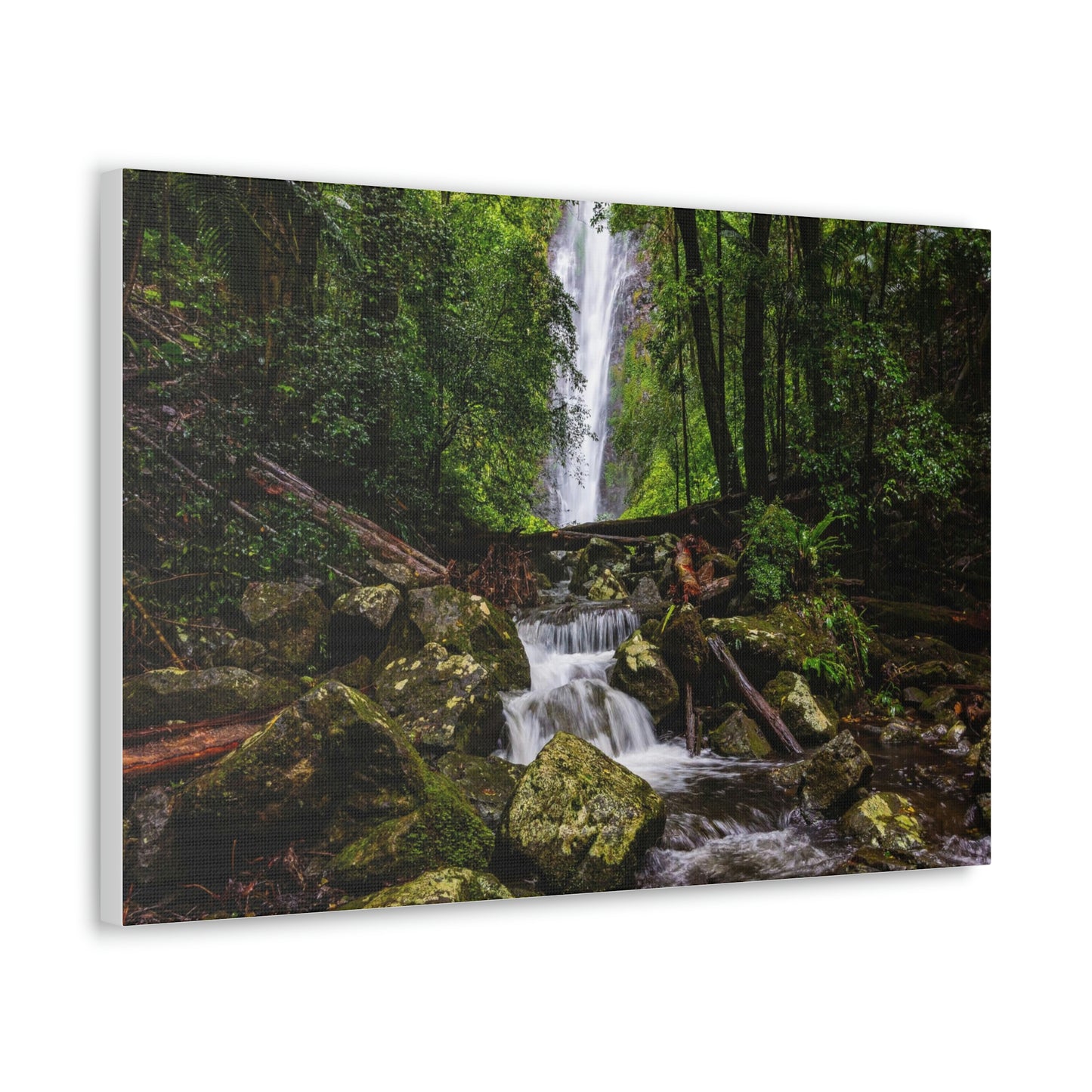 Larapinta Falls, Lamington National Park (Queensland)
