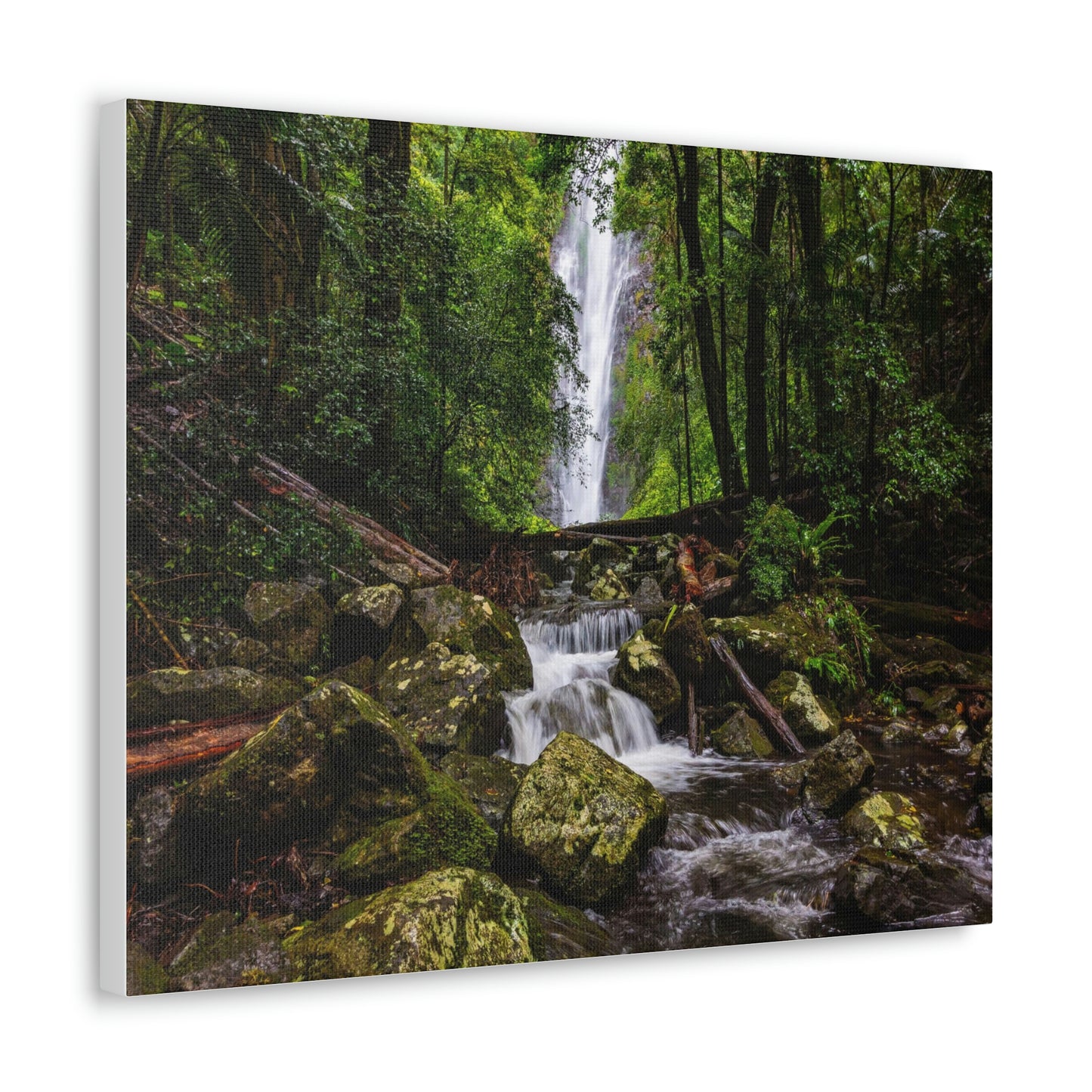 Larapinta Falls, Lamington National Park (Queensland)