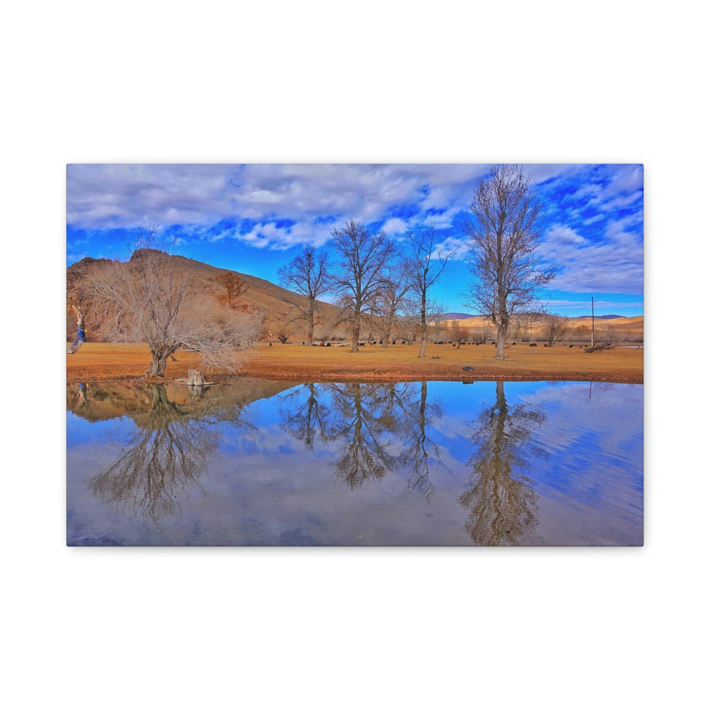 Perfect Reflection, Tsetserleg (Mongolia)