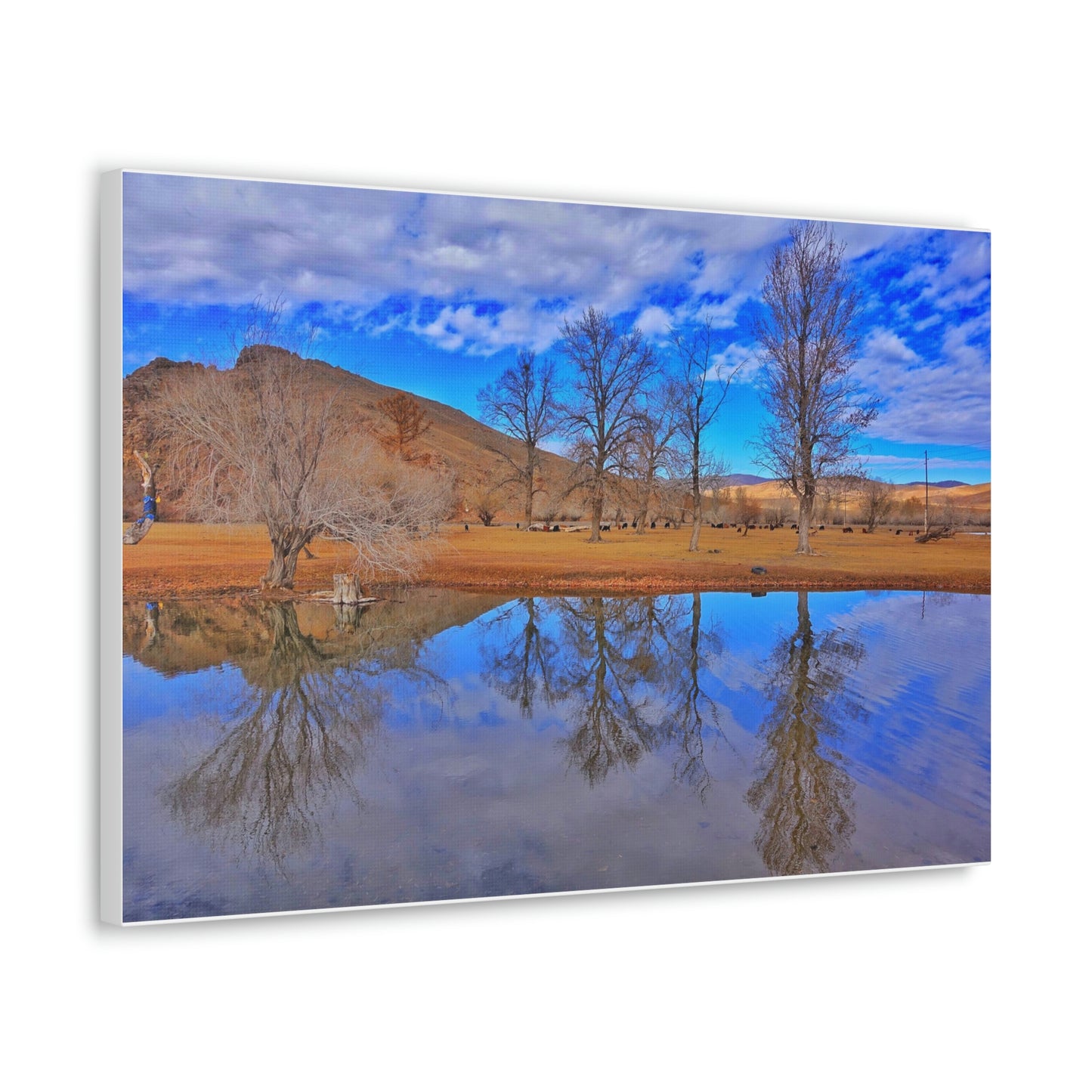 Perfect Reflection, Tsetserleg (Mongolia)