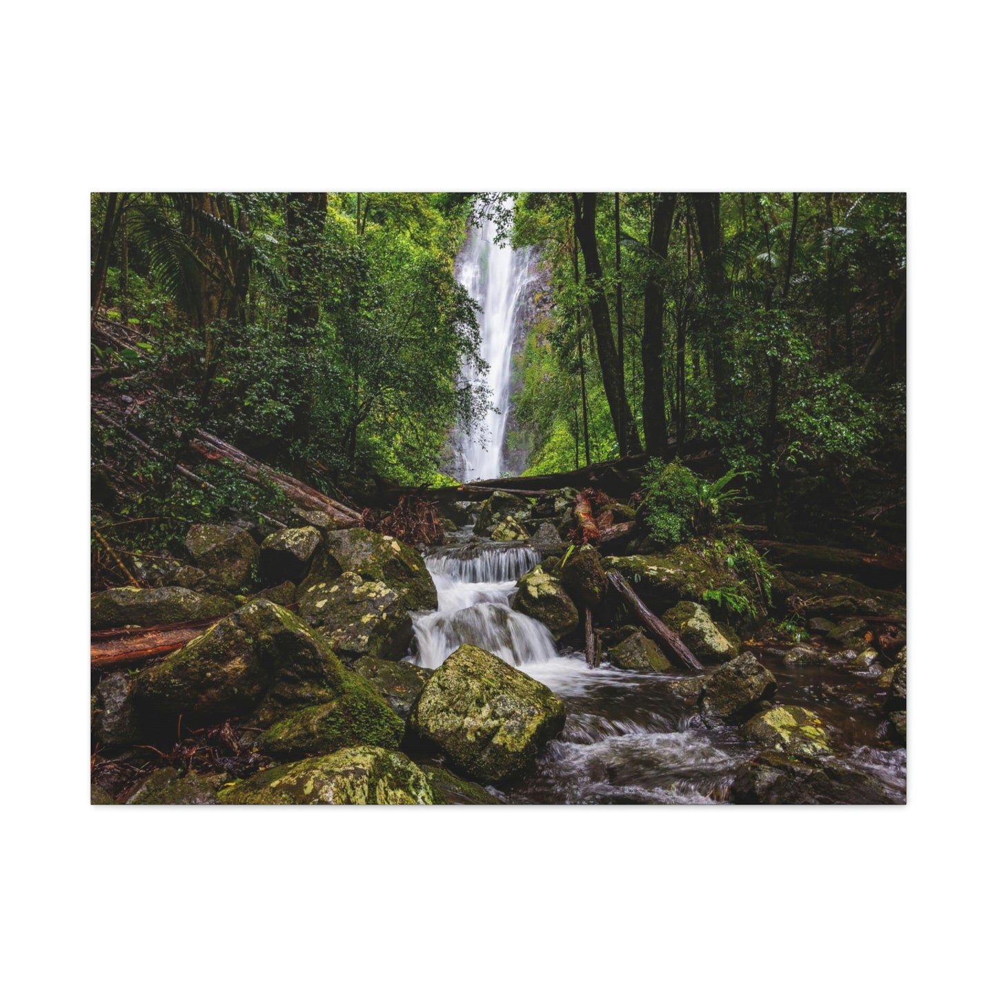 Larapinta Falls, Lamington National Park (Queensland)