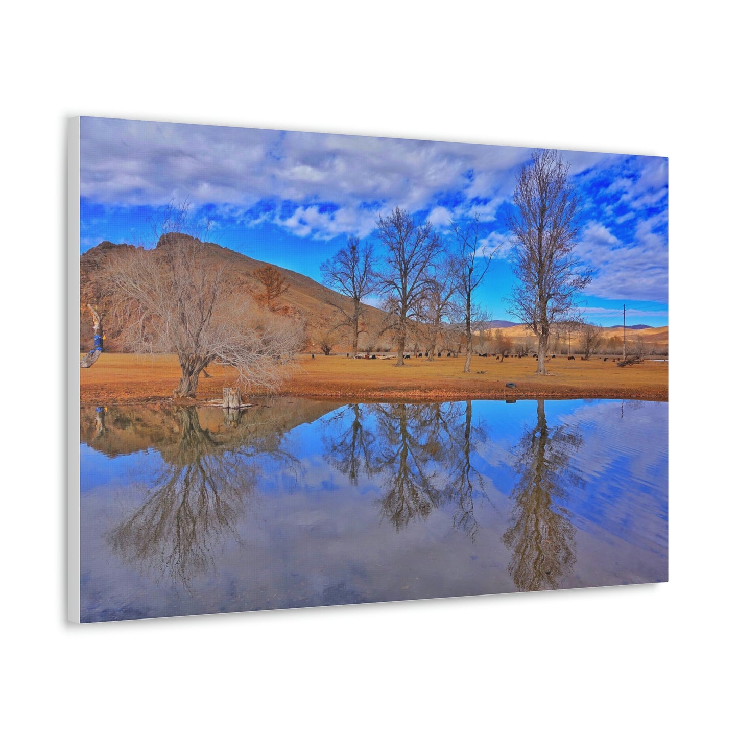 Perfect Reflection, Tsetserleg (Mongolia)